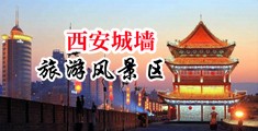 黑鬼操洋妞喷白浆中国陕西-西安城墙旅游风景区
